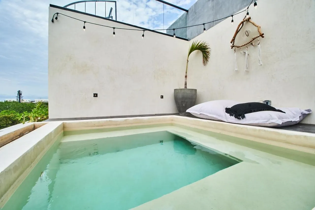Apartment Coyoacan Penthouse 3Bdr X Pool X Views Three Level Tulum