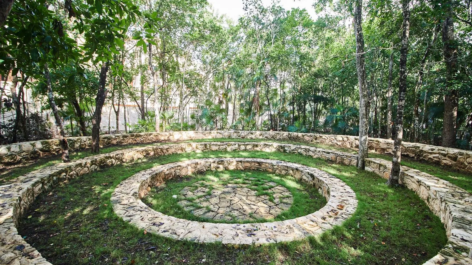 Apartment Coyoacan Penthouse 3Bdr X Pool X Views Three Level Tulum